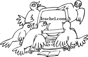 sparrows-and-computer-coloring-page